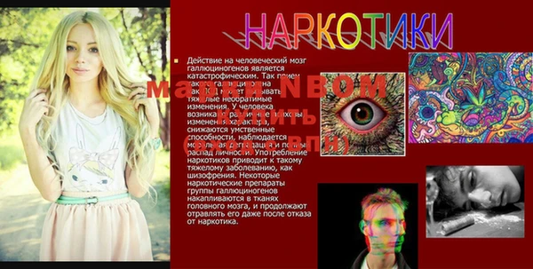 MDMA Новозыбков