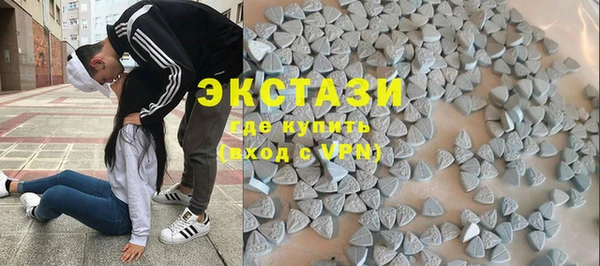 винт Ельня